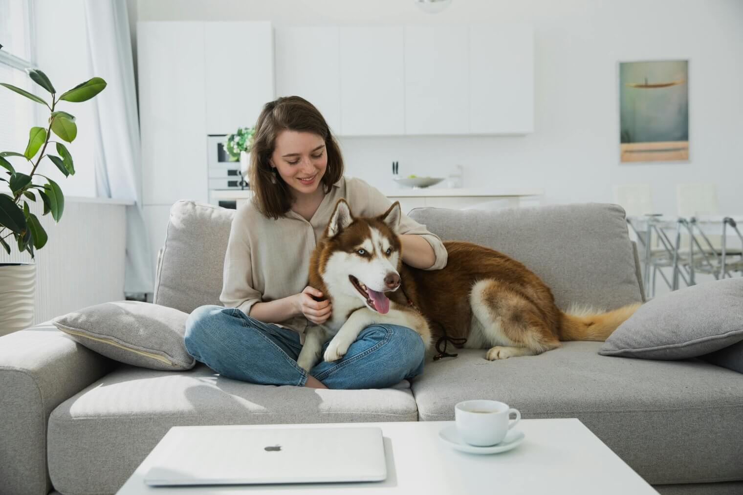 Simple Ways to Create a Cozy, Pet-Friendly Home for Everyday Living, Wrens Hollow Townhomes